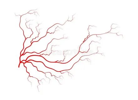 Devils veins