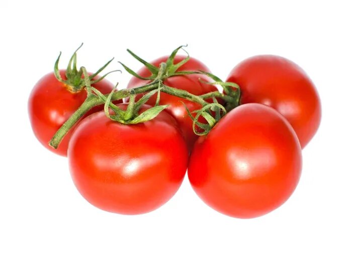 Riesentraube Tomato Growing organic tomatoes, Growing tomatoes indoors, Tomato g