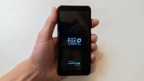 Black fox 2