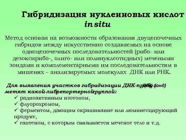 Суть метода гибридизации. Метод молекулярной гибридизации нуклеиновых кислот. Гибридизация нуклеиновых кислот. Метод гибридизации нуклеиновых кислот. Методы гибридизации нуклеиновых кислот.