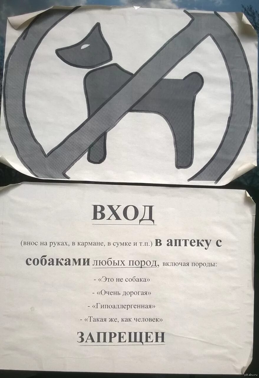 Вход с собаками запрещен. Объявление с собаками вход запрещен. Вход с собаками запрещен закон. Вход с животными запрещен табличка. Магазин вход запрещен