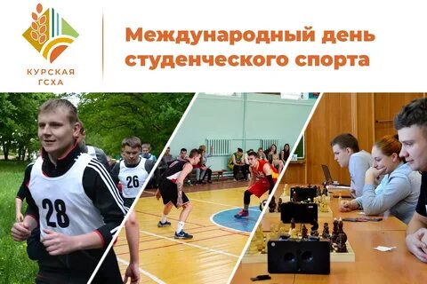 Год студенческого спорта