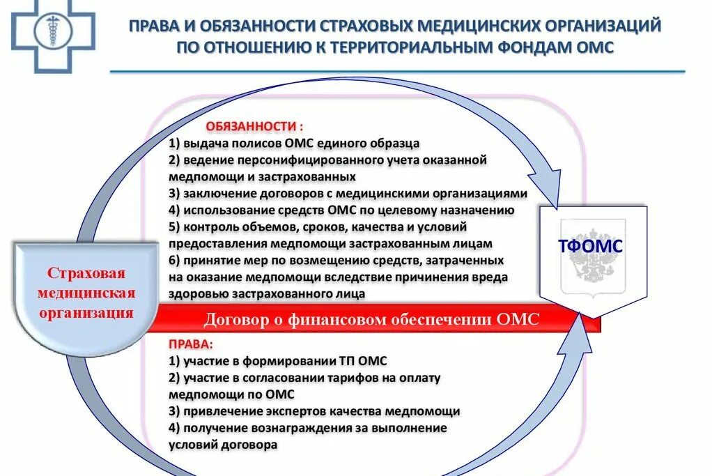 Полномочия медицинской организации