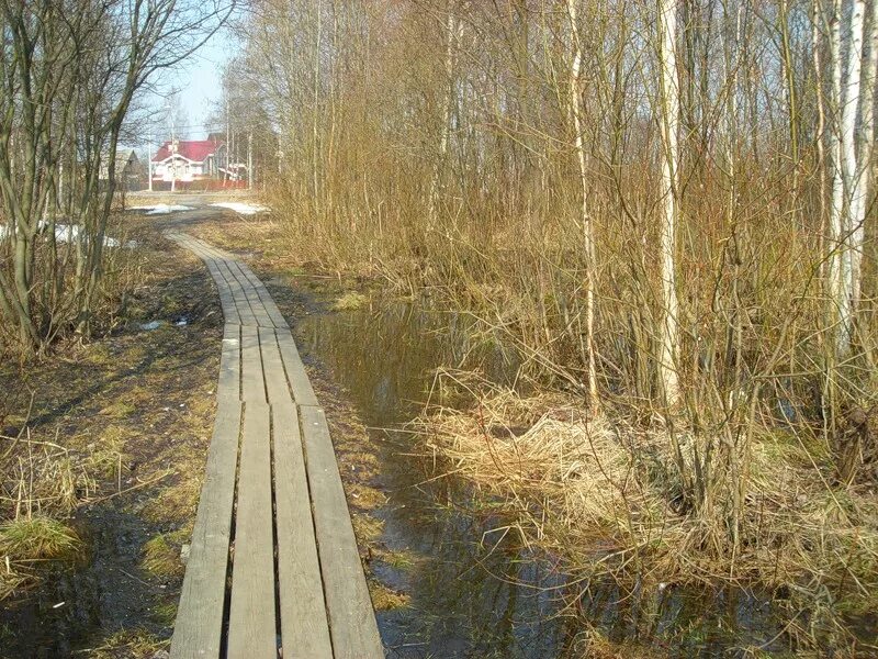 Тротуар в деревне. Дощатые тротуары в деревне. тротуар деревянный на улице. деревня волковская. деревянные тротуары тротуары архангельск.