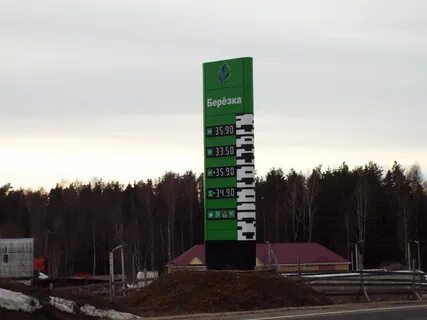 Мег березка