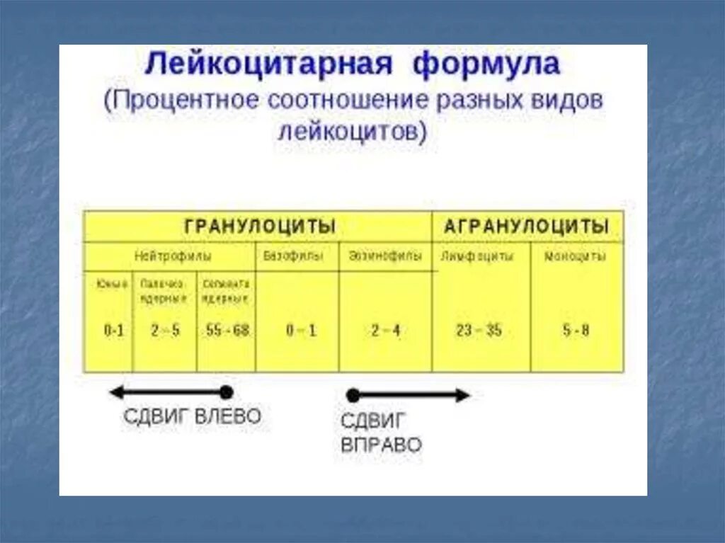 Лейкоцитарная формула расшифровка у взрослых. Сдвиг лейкоцитарной формулы влево норма. Лейкоцитарная формула сдвиги формулы. Норма лейкоцитарная формула % соотношение. Лейкоцитарная формула при сдвиге.