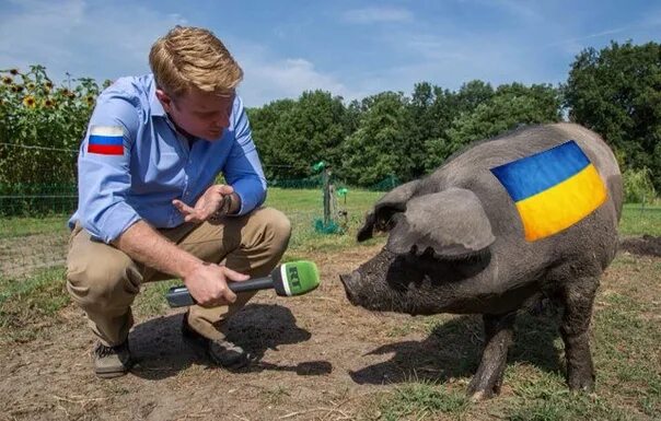 Звук хохлов. Хохла спросить забыли. Хохла не спрашивали. Хохла спросили.