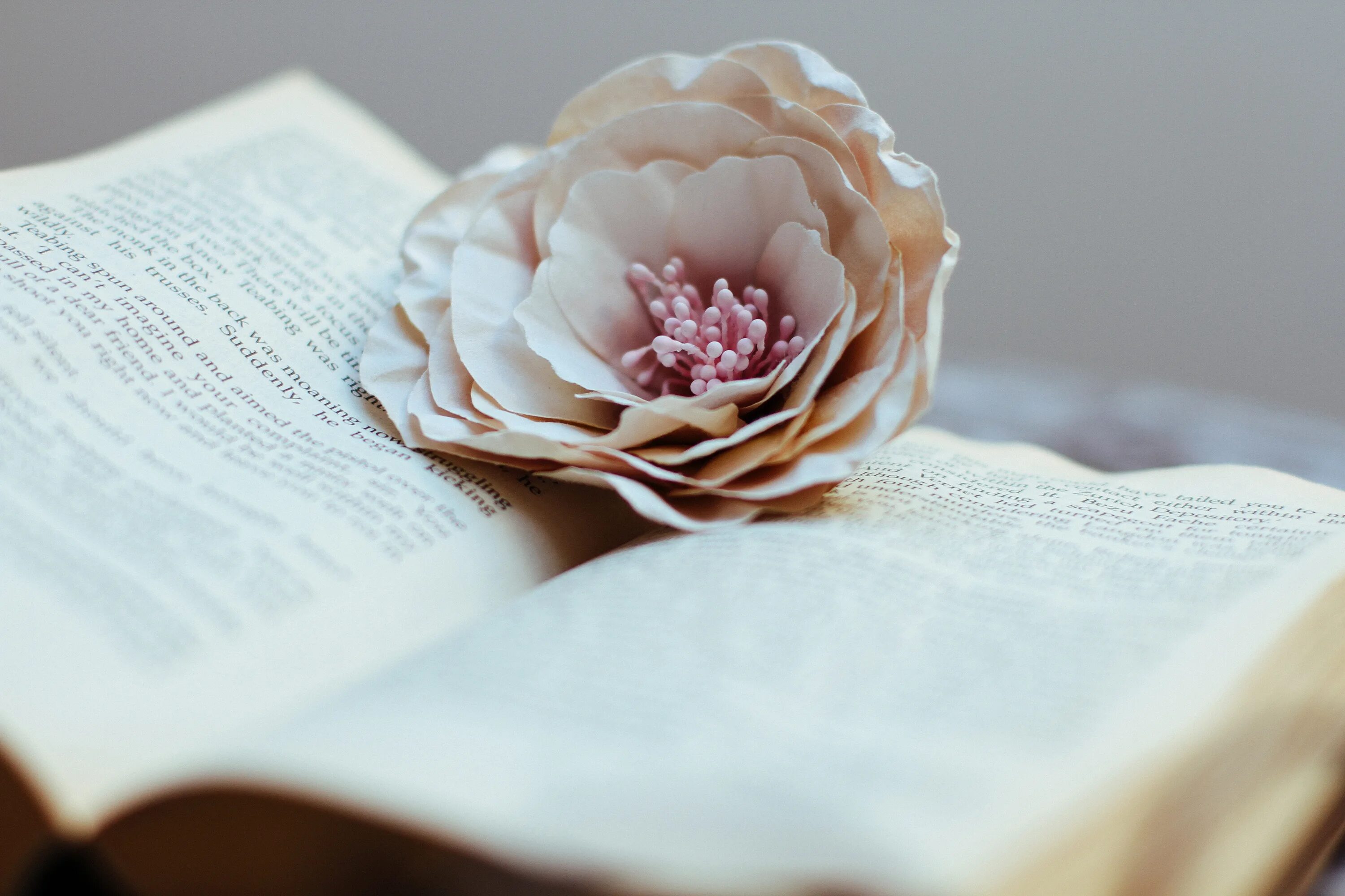 Книга цвет жизни. Книга цветы. Книга с цветами. Книжные цветы. Нежные цвета книжки.