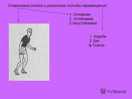 Способы передвижения человека