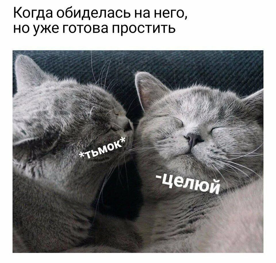 Люблю свою лучшую подругу не путю