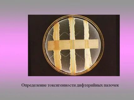 Палочка определение
