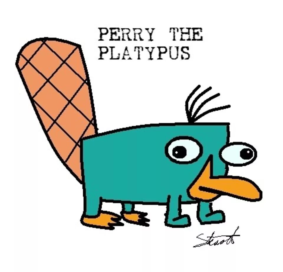 Perry the platypus. Перри утконос маленький. Perry the platypus. Перри утконос маленький. The platypus is one little.