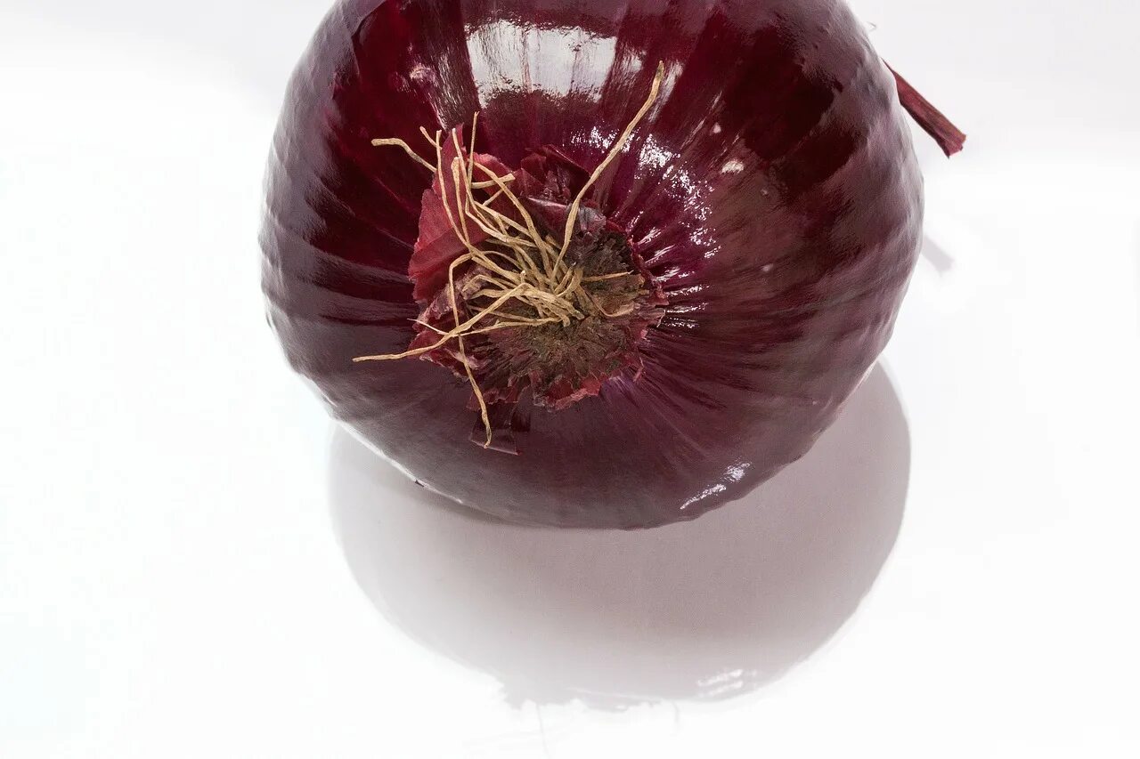 Red onion api download