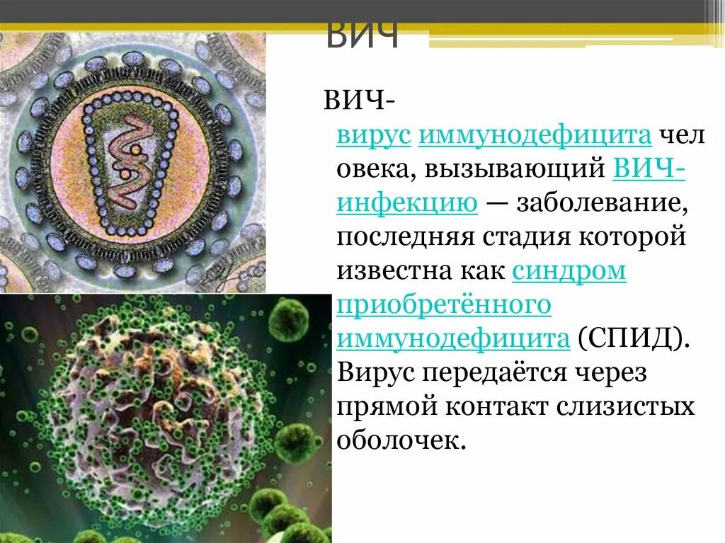 Инфекция вызванная вирусом иммунодефицита человека вич. Вирус иммунодефицита человека передаётся только через. Приобретенные иммунодефициты. СПИД. Вирус ВИЧ приобретённого иммунного дефицита о.