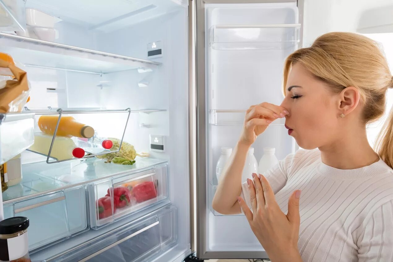 Удалить запах холодильника домашних. Запах из холодильника. Мытье холодильника. От запаха в холодильнике. Запах из холодльник.