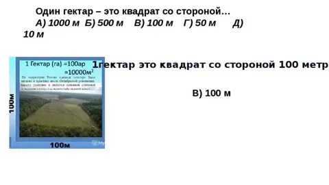 53 га сколько м2