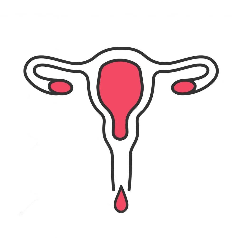 Половая жизнь и месячные. Менструальное кровотечение. Обильное маточное кровотечение. Обильные менструальные кровотечения.