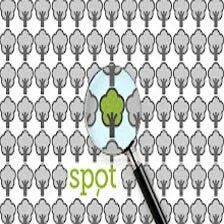 Better spot. Better spot