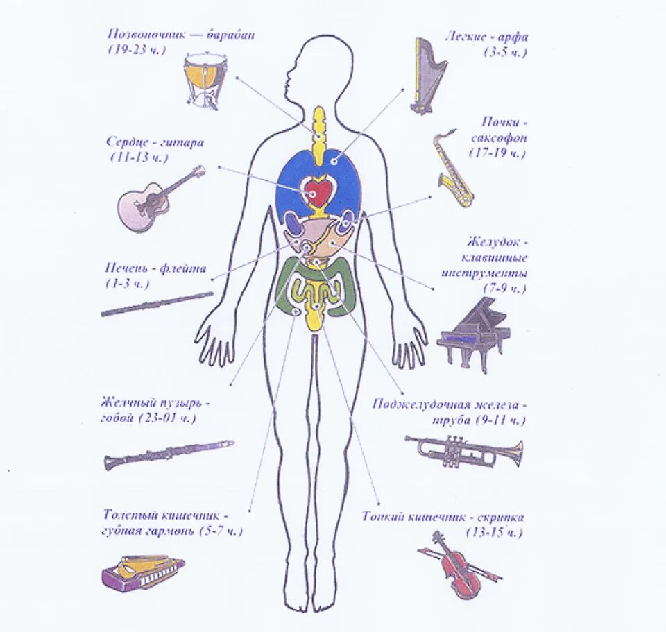 Звук организма слушать. Влияние музыки на человека. Музыкотерапия воздействие на организм. Музыкотерапия воздействие на человека. Как музыка влияет на организм человека.