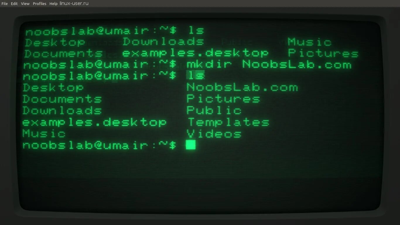 Terminal bash