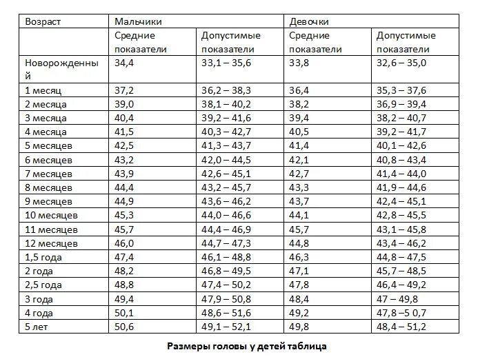 Окружность головы в 6