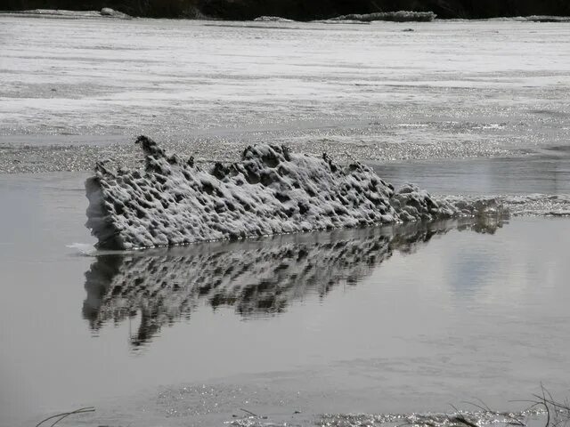 Уровень воды в реке тобол ялуторовск. Ялуторовск Тобол. Разлив Тобола в Ялуторовске фото. По дну Тобола на КАМАЗЕ. Фото.