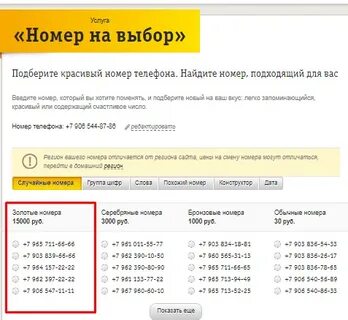 Номера билайн тула