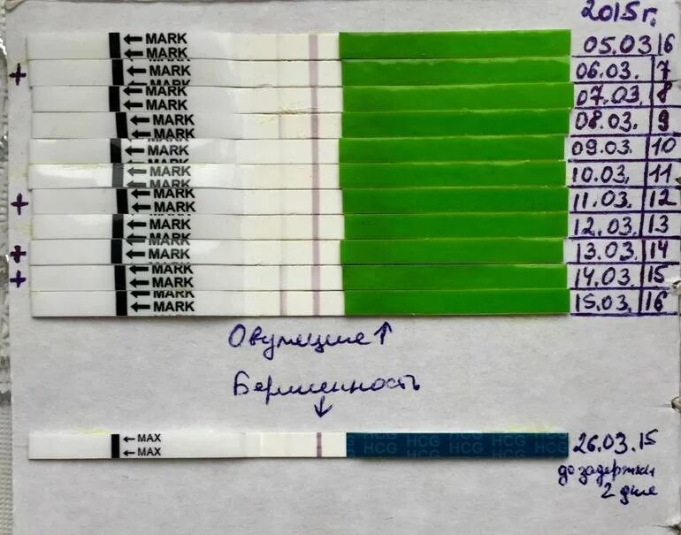 Забеременеть через неделю после овуляции. Тест после овуляции. Тест на овуляцию через день после овуляции. Тест на беременность после. Тесты на беременность по дням после овуляции.