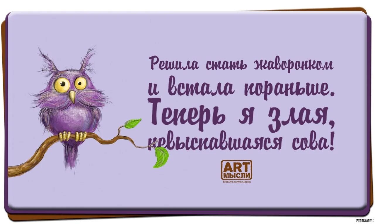 Цитаты дня смешные. Смешные фразы. позитивные фразы. злая невыспавшаяся сова. умные мысли.