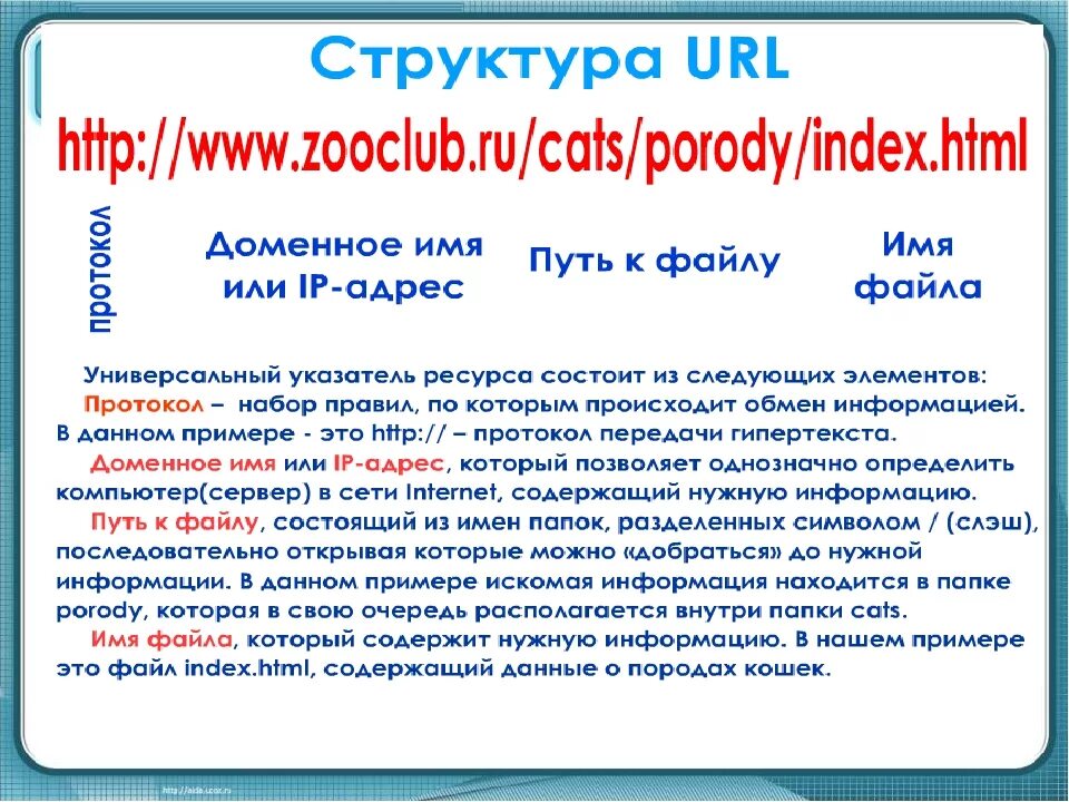 Структура URL. Состав URL адреса. Структура URL ссылки. Строение ссылки сайта. Url содержит