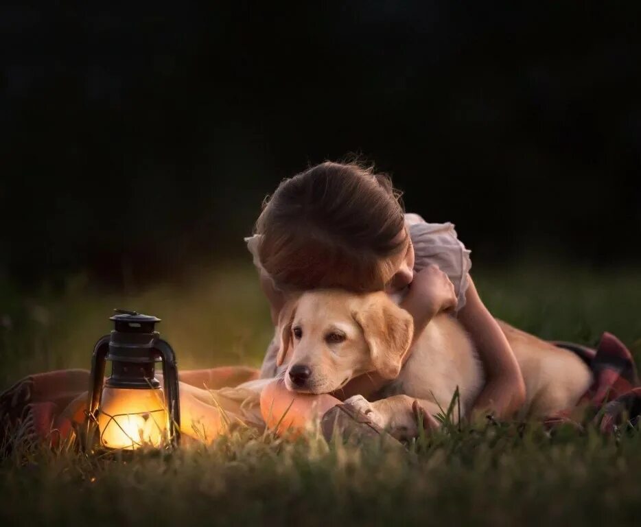 Заяц с подсветкой. Фотонатюрморты с животными. Пейзажи с котами. Спокойной ночи природа животные. Красивый вечер с животными.