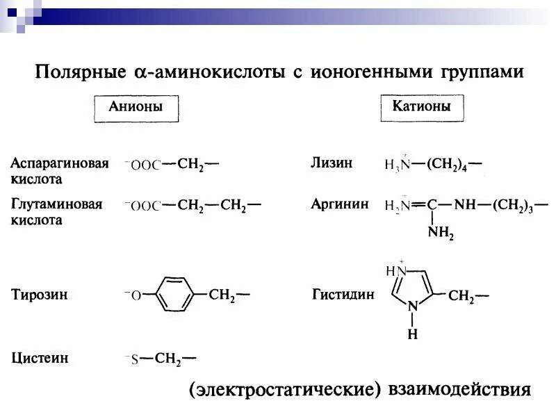 Кислотный радикал. Ионогенная группа аминокислот. Полярные ионогенные аминокислоты. Полярные неионогенные аминокислоты. Ионогенный радикал аминокислот.