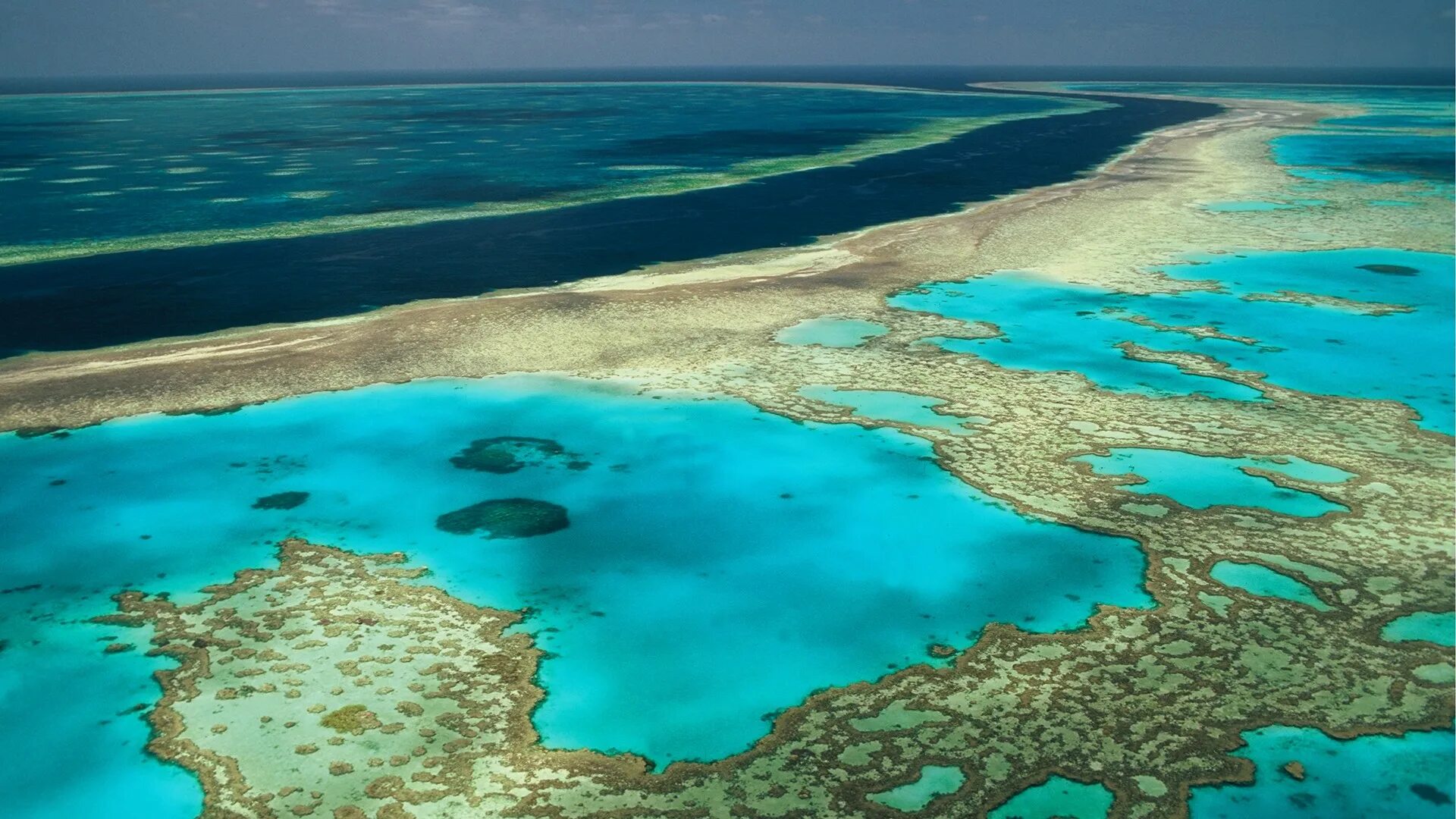 Острова большого рифа. Белизский Барьерный риф. Большой Барьерный риф Австралия. Острова большого барьерного рифа. Коралловое море Барьерный риф.