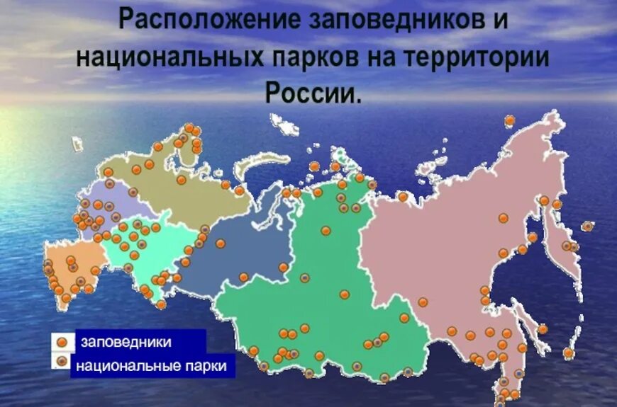 Сколько парков в россии. Заповедники и национальные парки Росси. Заповедников и национальных парков России. Заповедники России и национальные парки России. Заповедники и нацпарки России.