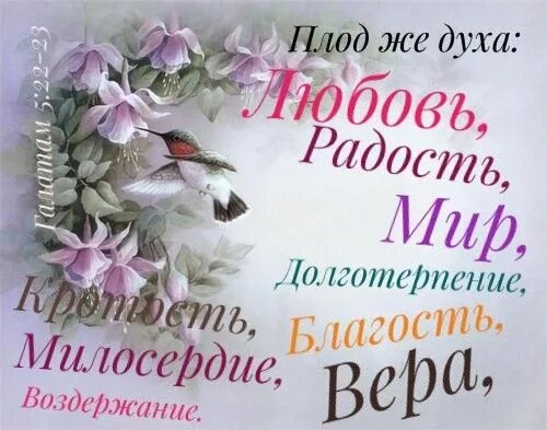 Плод же духа любовь радость. Плоды плоти в библии. Плод духа любовь радость мир долготерпение. Плод духа любовь радость мир долготерпение. Плод духа любовь радость мир долготерпение.