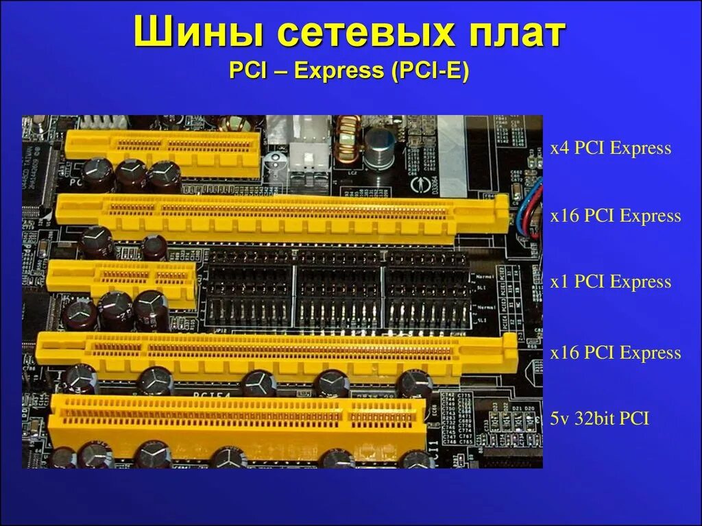 Слот PCI-E x16 на материнской плате. Слотов PCI-E 3.0 x16. Разъём PCI-E x16 пины. Шина PCI Express x16.