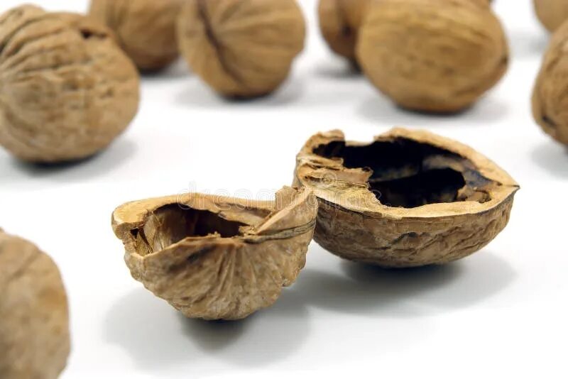 Скорлупа от орехов. Пуста орех. Пуста орех. Пуста орех. Пуста орех.