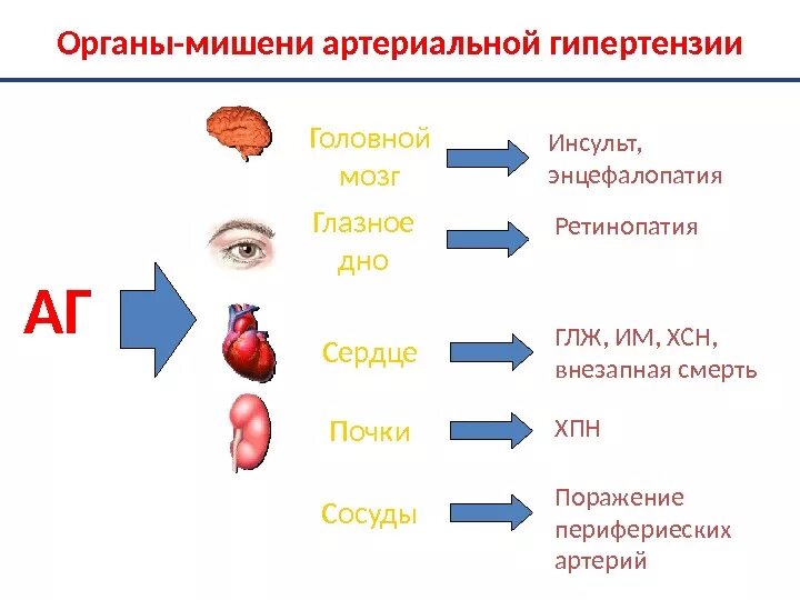 Гипертензия органы мишени