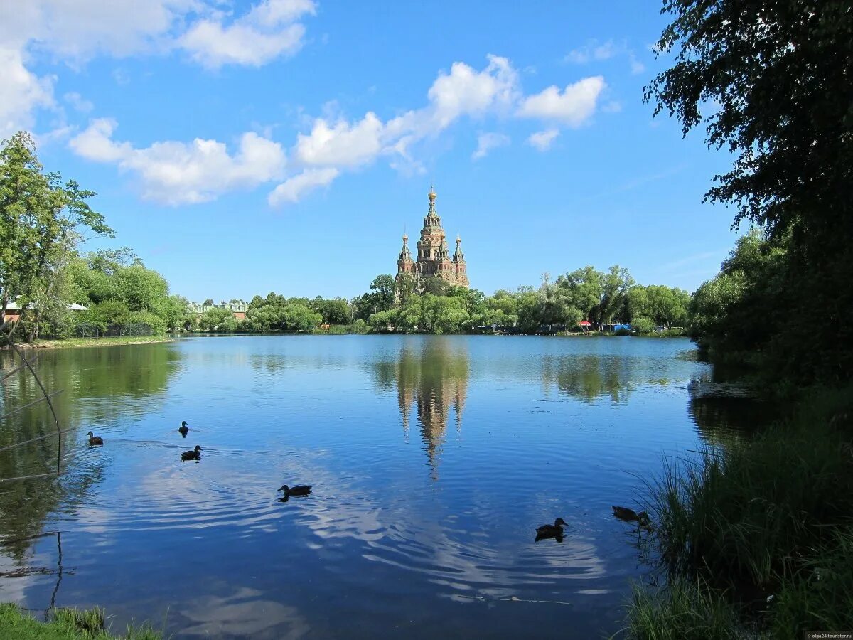 Английский парк петергоф. Колонистский парк в петергофе. Бельведер в петергофе пруды. Ольгин павильон в петергофе. Петродворец ольгин пруд.