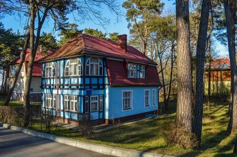 Цветы светлогорск калининградская область