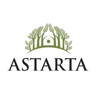 Мц572 астарта