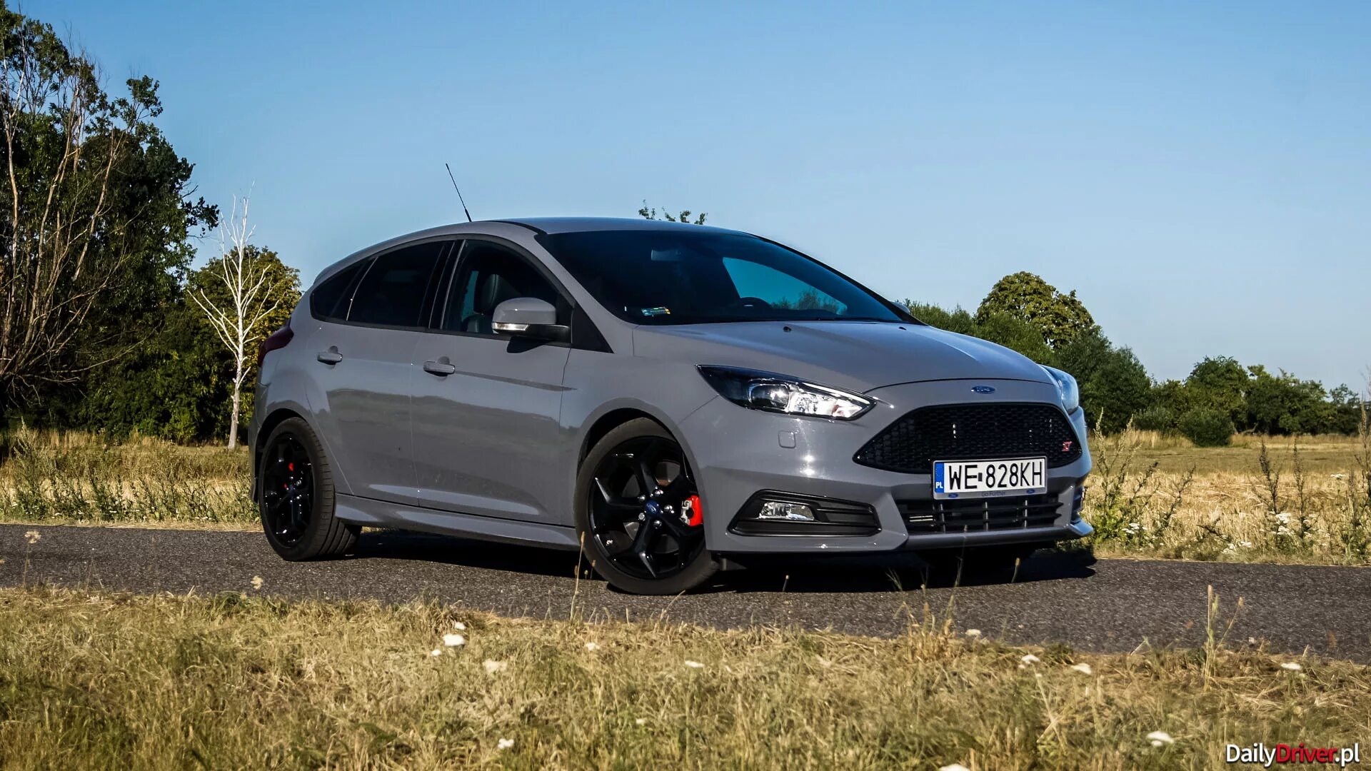 Грей фокус. Ford Focus St 2023. Форд фокус 3 дизель. Ford Focus 3 St. Ford Focus St серый.