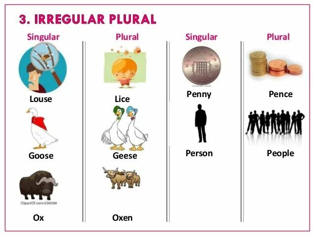 Person plural. Person plural form. Irregular plurals исключения. Louse plural. Ox plural.