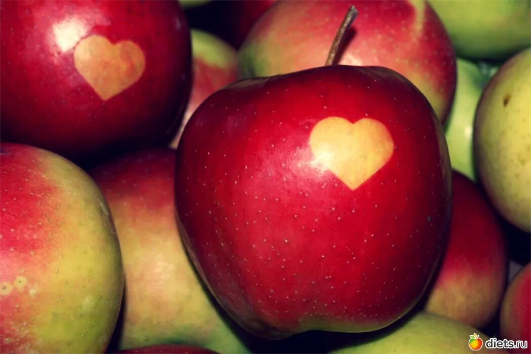 Яблоня любовь. Разноцветные яблоки. Яблоко любви. Фиолетовое яблоко. Яблоко Евы.