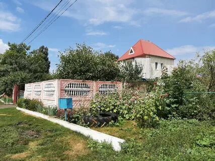 Погода дубрава 10