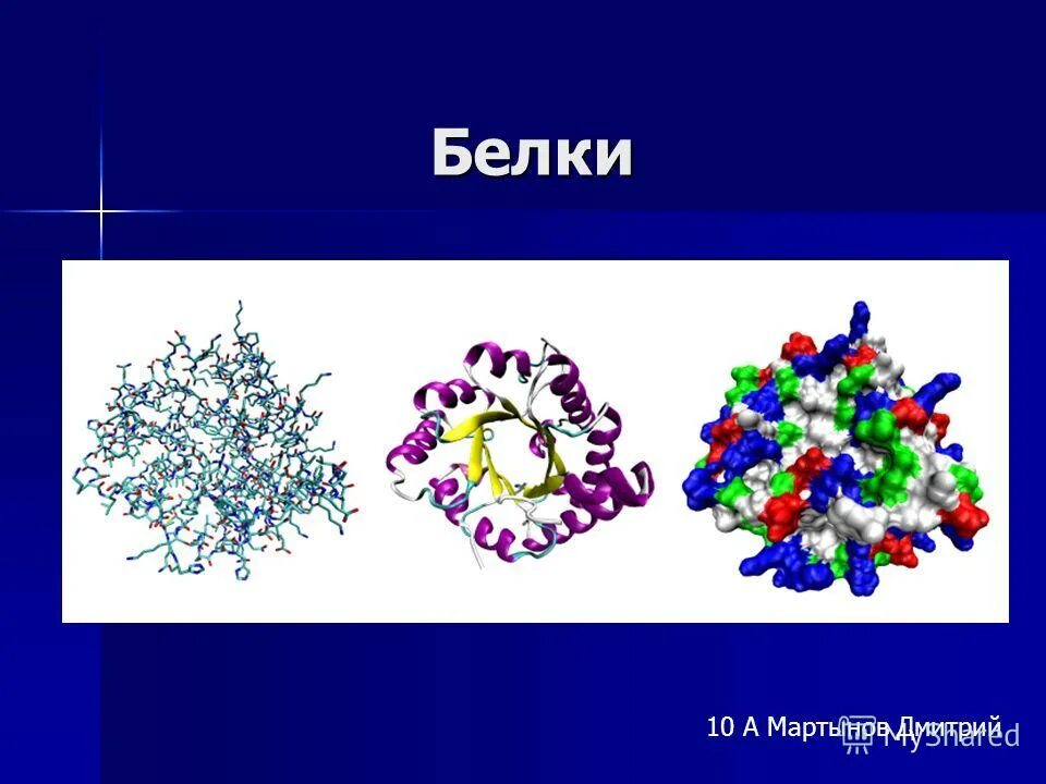 Белок биология. Структура белка биология. Белки 5 класс. Белки а и б. Белки.