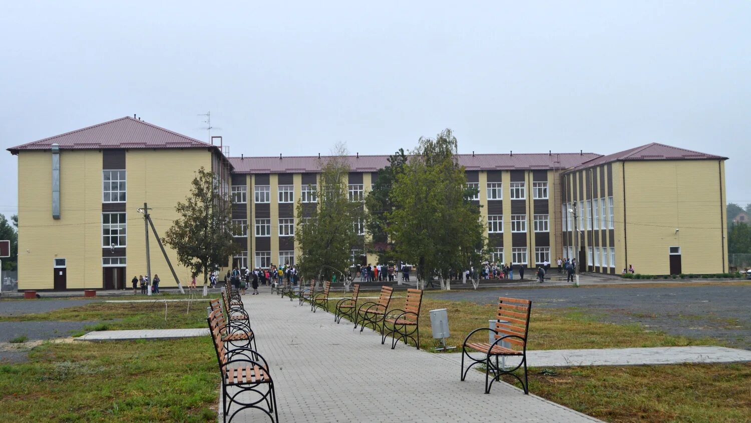 Школа 31 новошахтинск. Директор школы 14 новошахтинск. Школа 31 новошахтинск. Школа 7 новошахтинск. Школы г новошахтинска.
