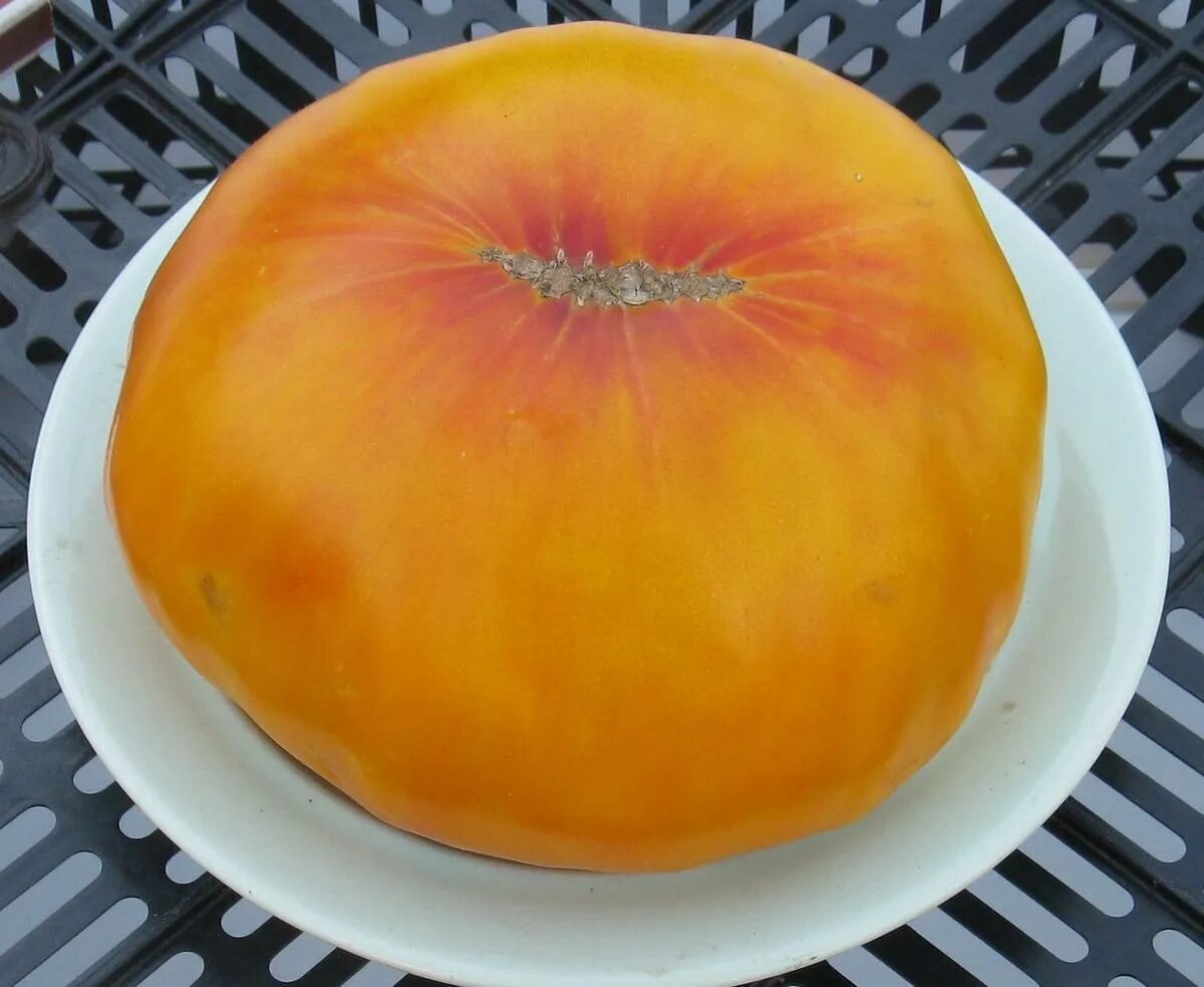 Сорт томата ананас. Томат гавайский ананас (hawaiian pineapple). томат гавайский ананас биколор. сорт томата гавайский ананас. оранжевый ананас томат.