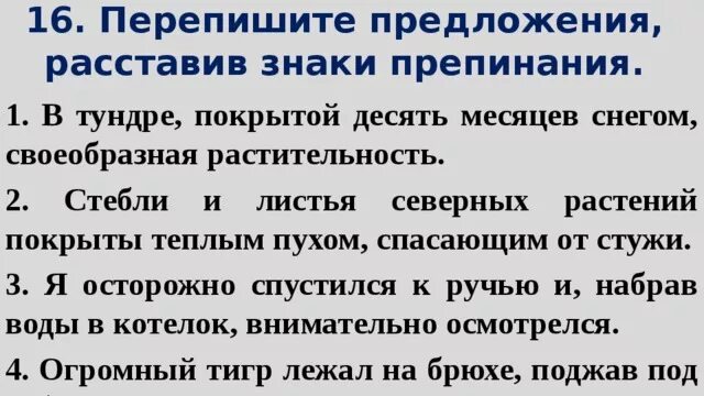 Перепишите предложения. Перепишите предложение расставив знаки препинания. Анализ текста в тундре покрытой девять месяцев снегом. Перепишите предложения расставляя знаки. В тундре покрытой девять месяцев снегом своеобразная растительность.