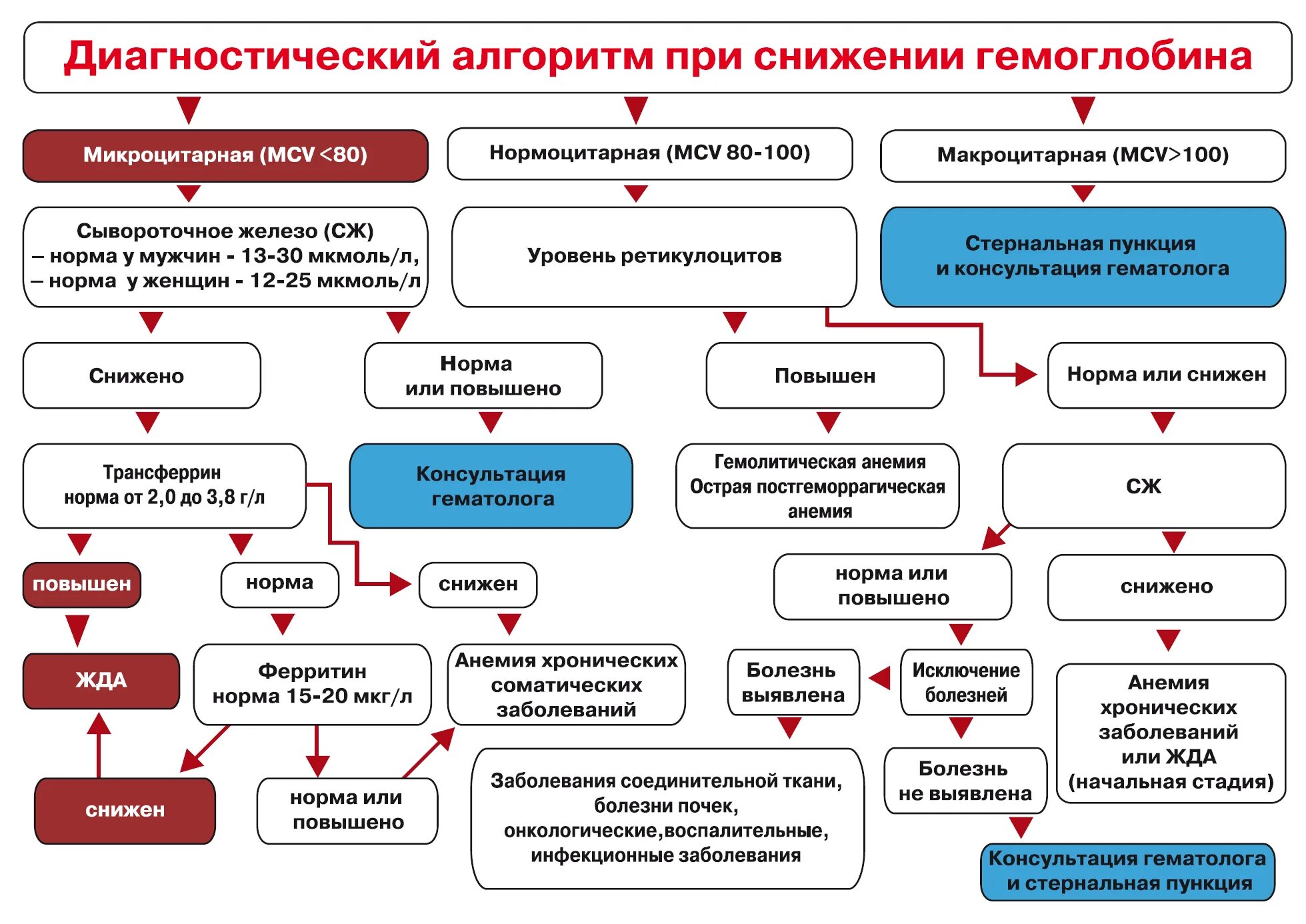 Диагностический алгоритм. Алгоритм диагностики анемии. диагностический алгоритм диагностики анемии. анемический синдром алгоритм диагностики. алгоритм диагностики причин железодефицитной анемии.